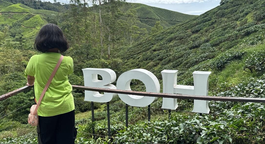 Boh Tea Estate-冷力必去景点