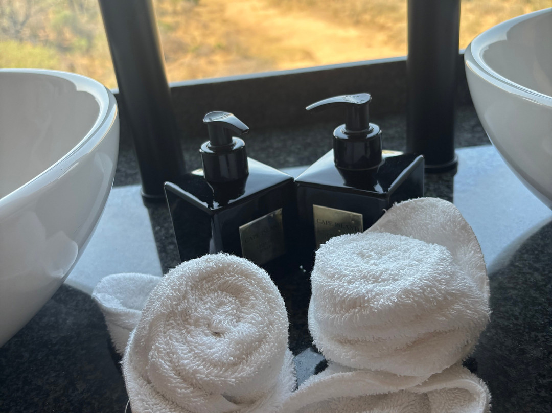 Kruger Shalati - The Train on the Bridge主图