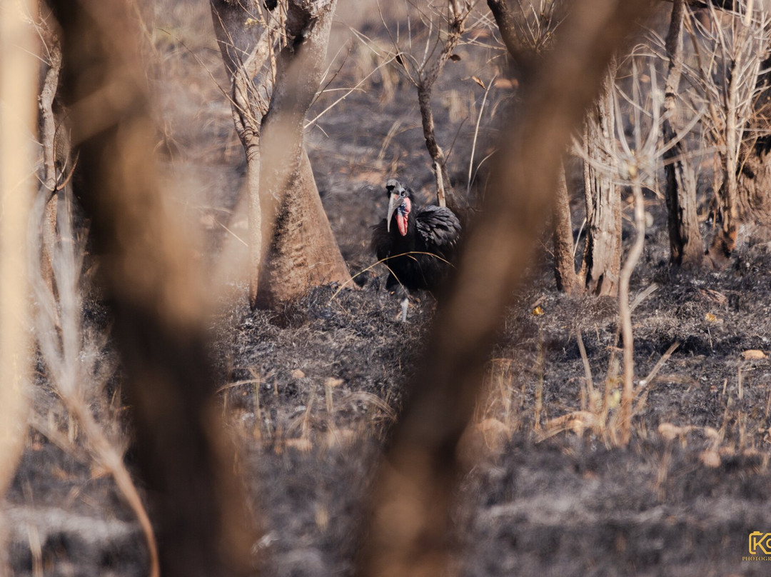 Maze National Park-Southern Nations, Nationalities, and People's Region必去景点