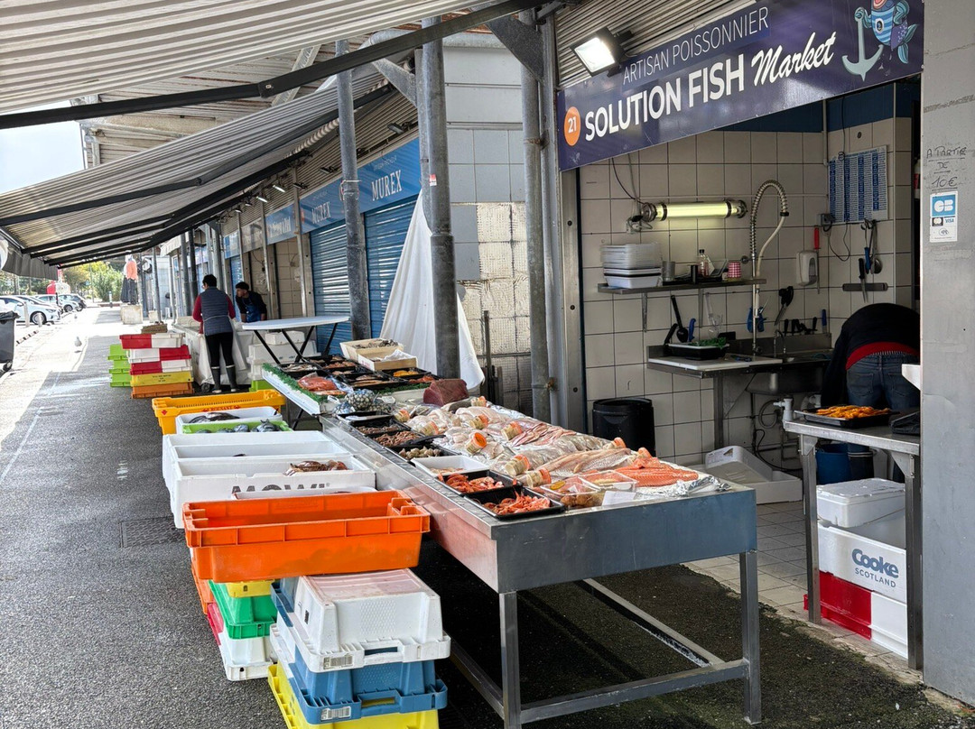 Marché aux Poissons-滨海布洛涅必去景点