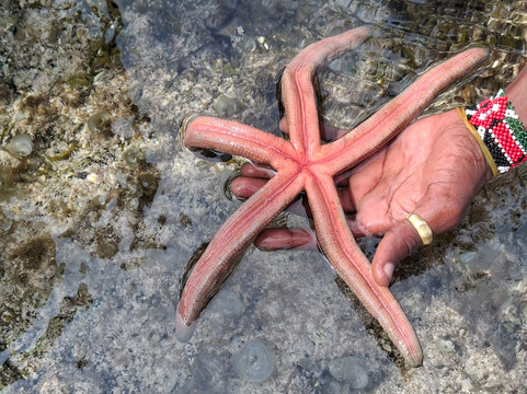 Kenya Safari-瓦塔木必去景点