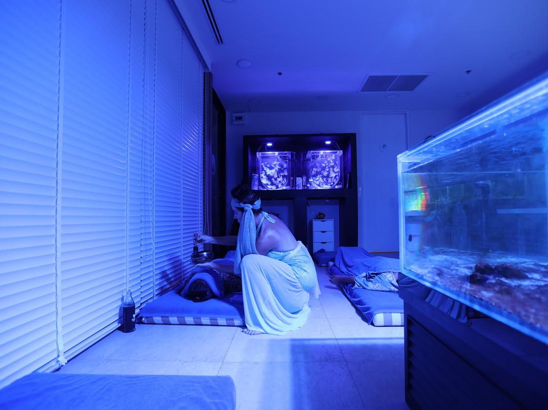 Marine Biological Center - Hyatt Regency Phuket Resort-卡图必去景点