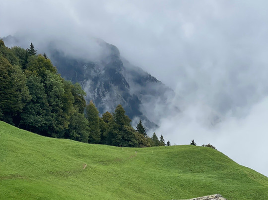 Private Guide in Zurich Lidia Maier-苏黎世必去景点