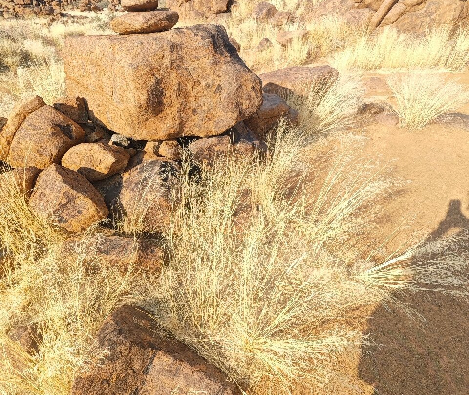 Quivertree Forest and Giant's Playground-Keetmanshoop必去景点