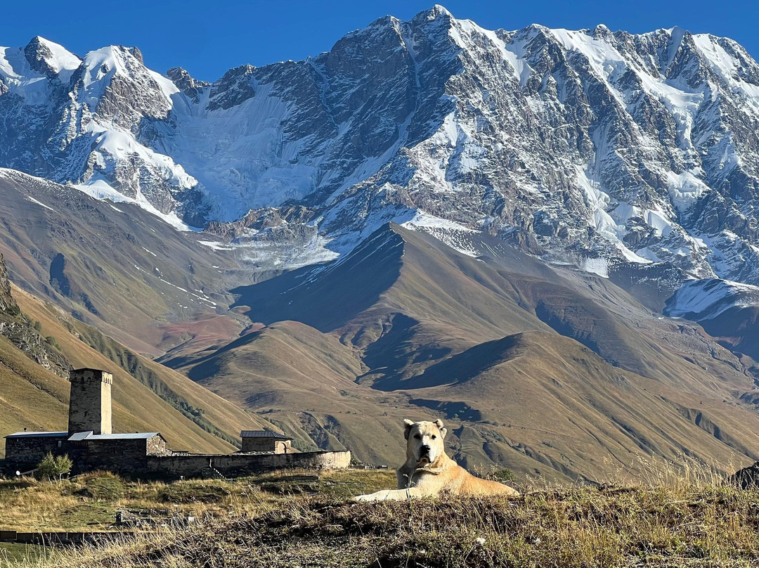 Welcome to Caucasus-第比利斯必去景点
