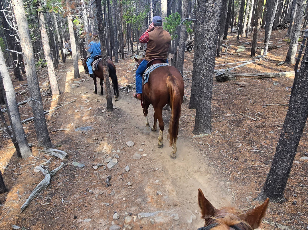 Elkhorn Stables-埃斯蒂斯公园必去景点