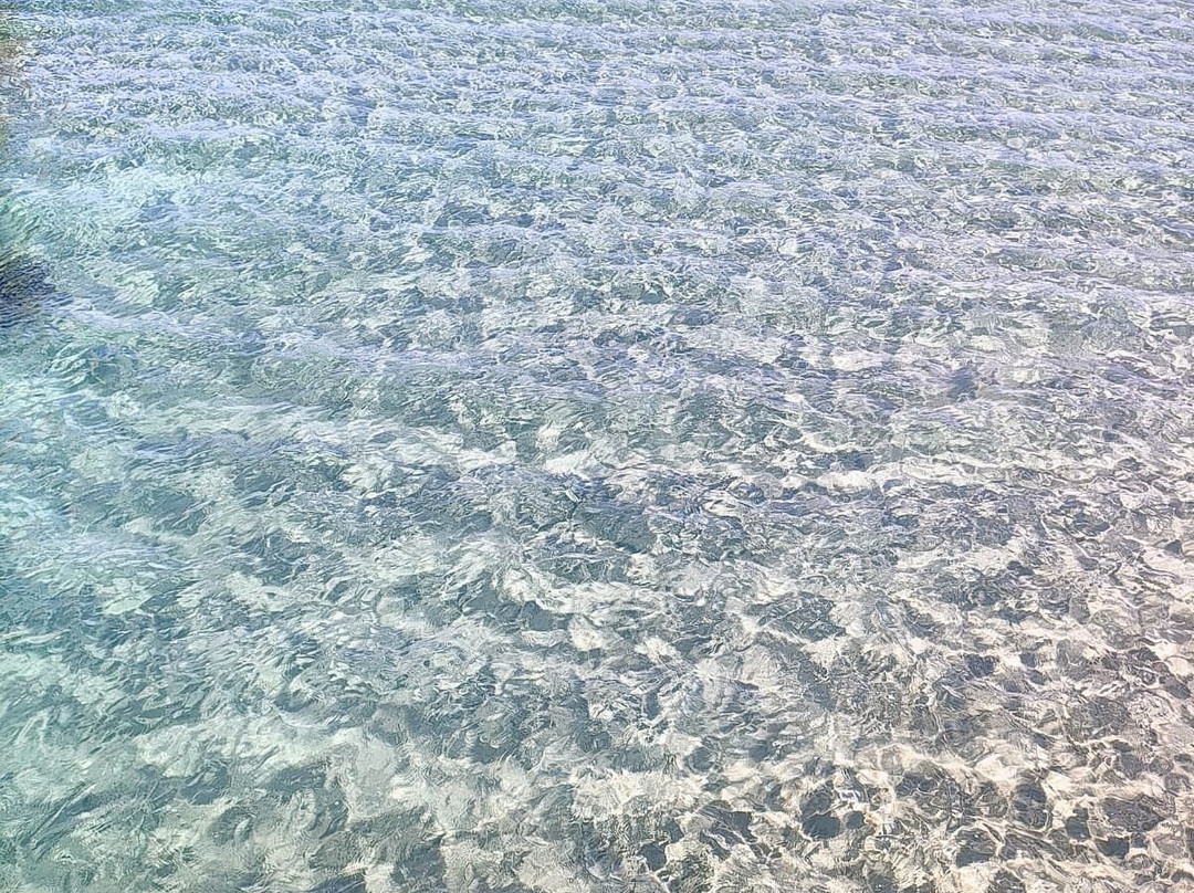 Baia dei Turchi-奥特朗托必去景点