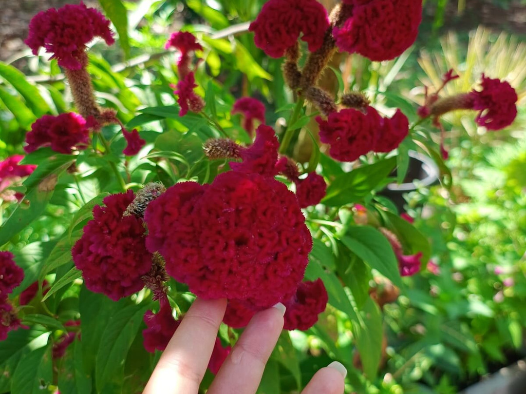 Nazareth Eco Hotel主图