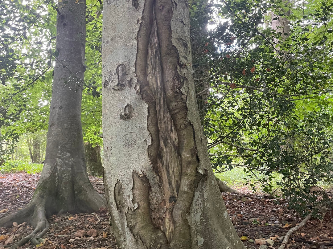 Keswick Canoe and Bushcraft-凯瑟克必去景点