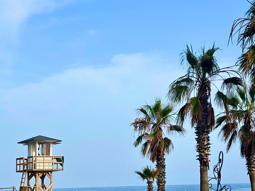 Hotel Santa Rosa主图