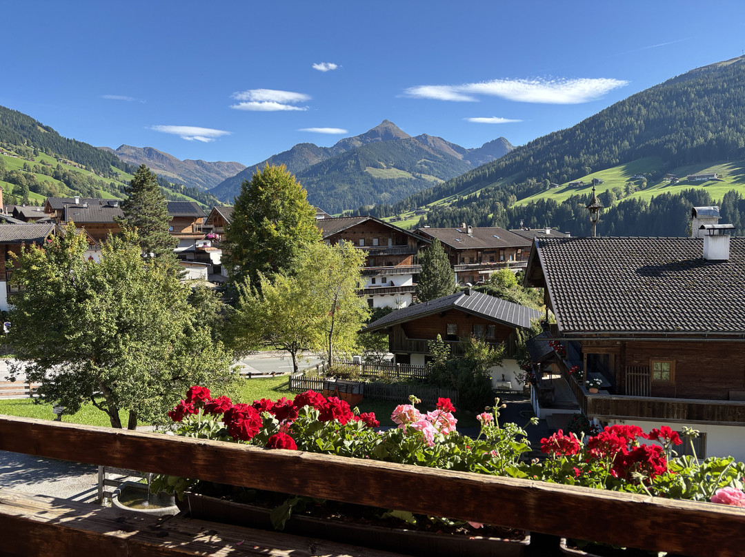 Hotel Zur Post主图