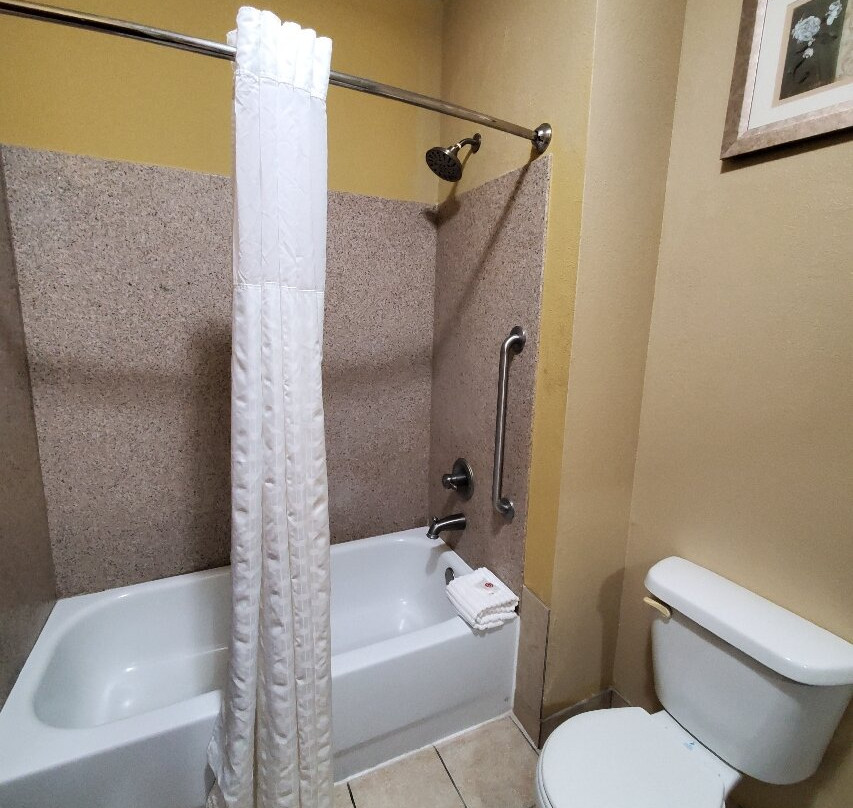 Comfort Inn & Suites Monggomery主图