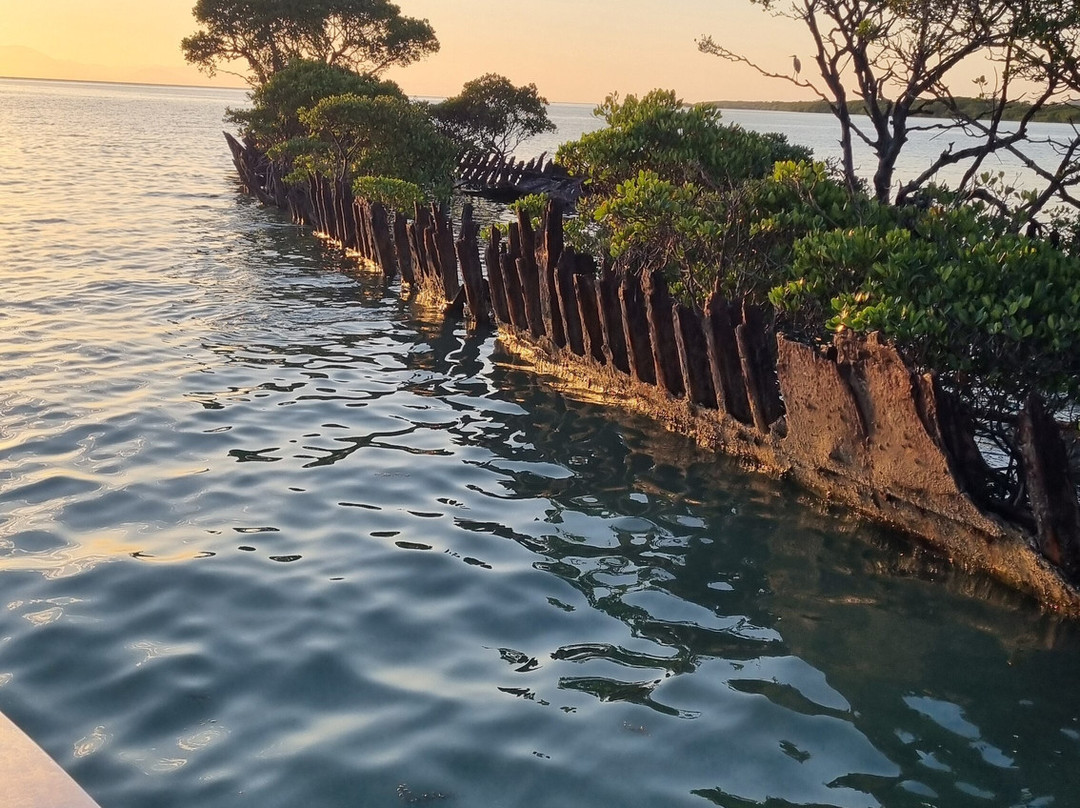 Aquascene Magnetic Island-Magnetic Island必去景点