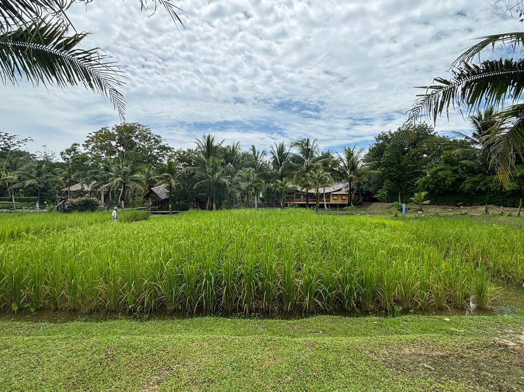 Old Phuket Farm-Thep Krasattri必去景点