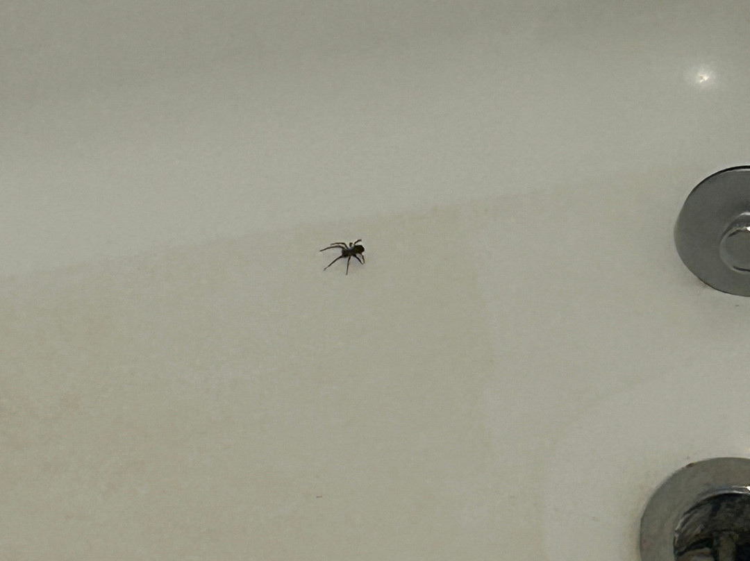 贝斯特韦斯特派恩赫斯特酒店主图