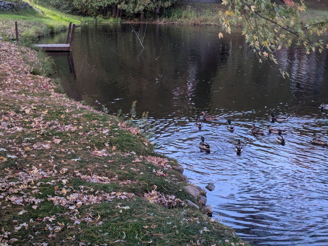 Hotel Cheribourg主图