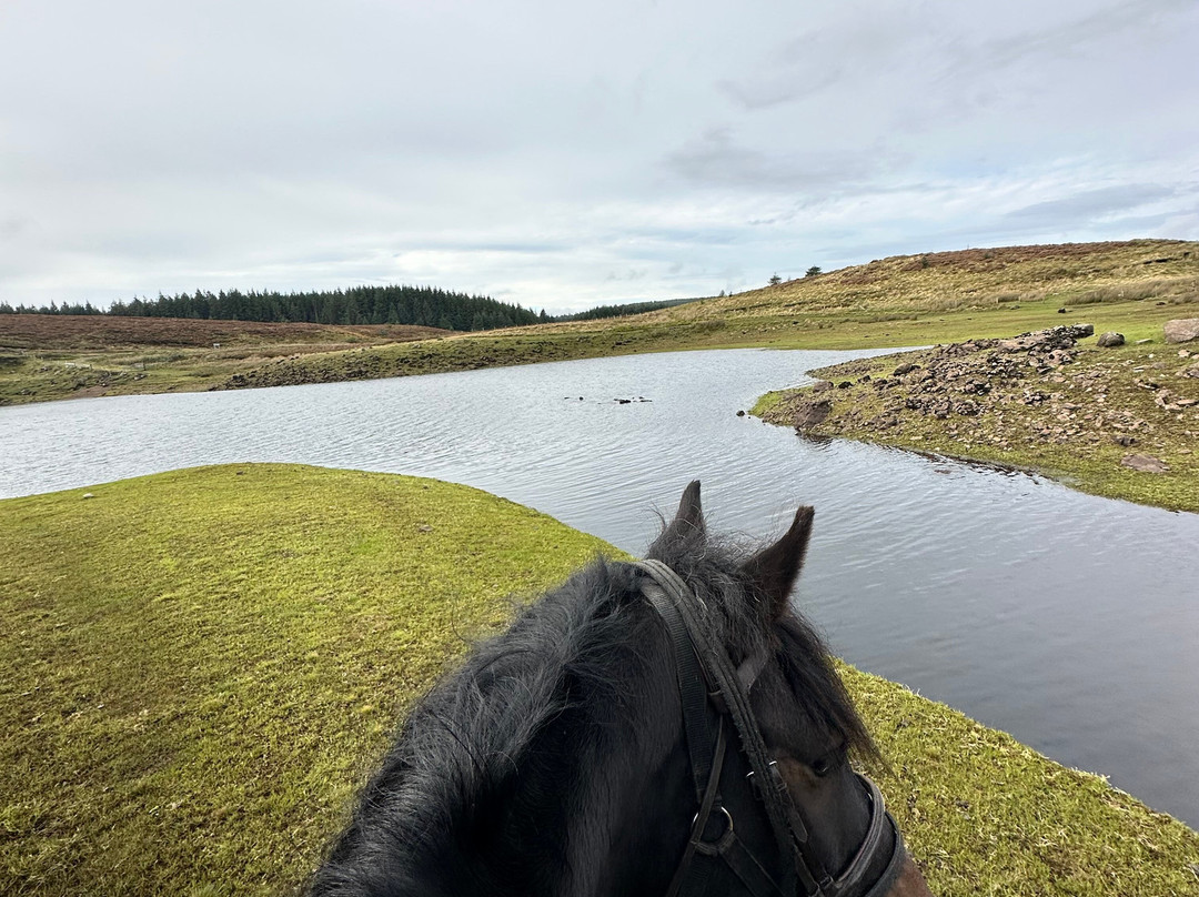 Bespoke Equestrian Ireland-都柏林必去景点