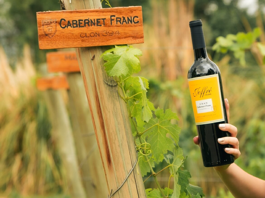 RJ Vinedos-路冉得库约必去景点