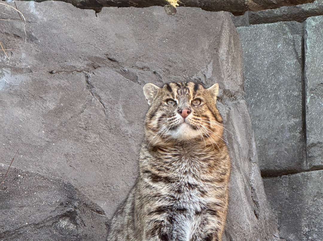 Long Island Aquarium-Riverhead必去景点