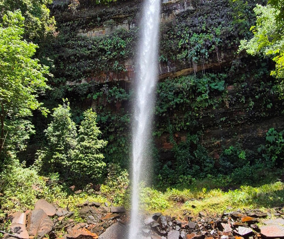 Praia Rica Ecoturismo - expedições personalizadas no Cerrado brasileiro-Palmas必去景点