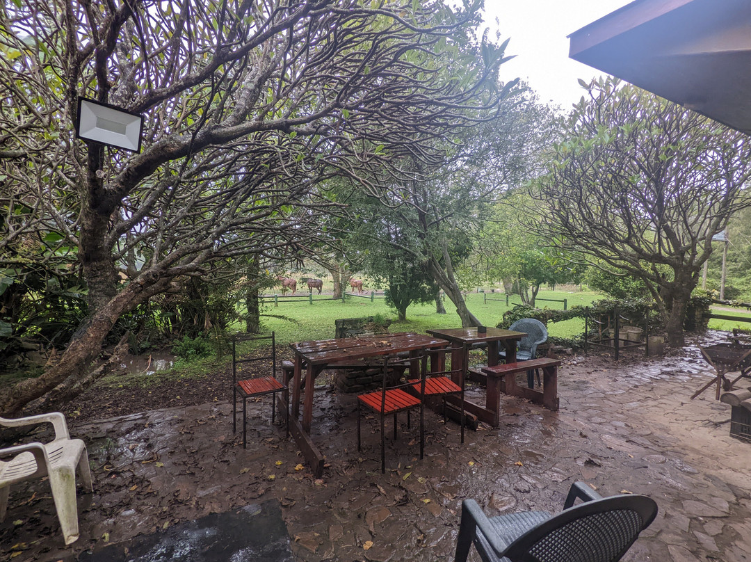 Cintsa Horses-Chintsa West必去景点