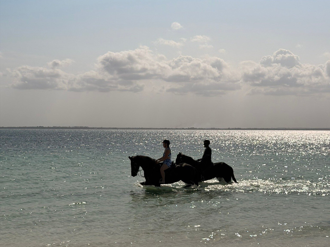 Royal Stable Zanzibar-米查维必去景点