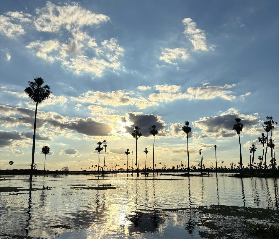 Bañado La Estrella-Las Lomitas必去景点
