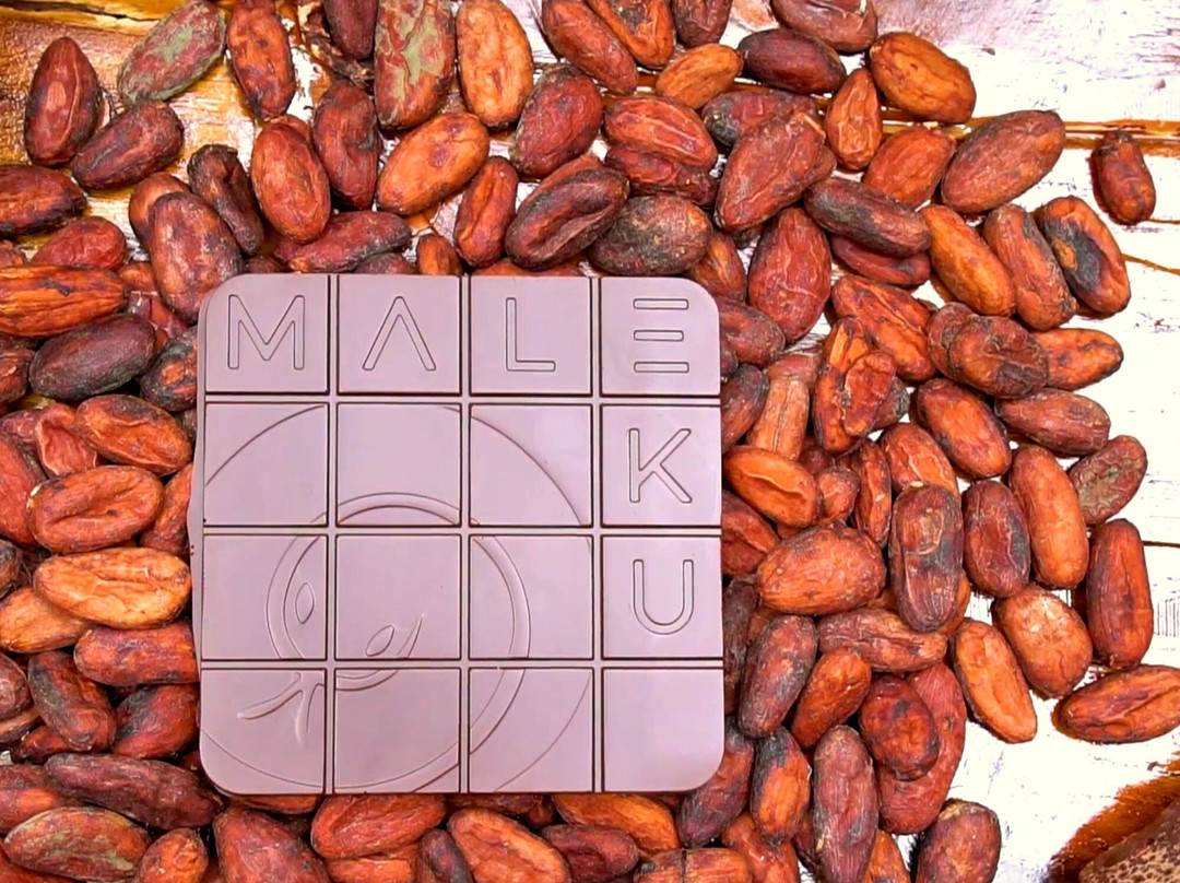 Maleku Chocolate-Upala必去景点