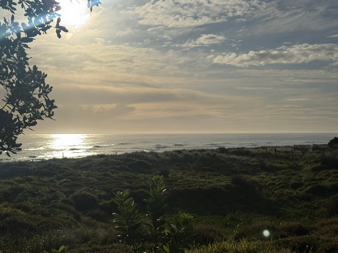 South Pacific Surf-芒格努伊山必去景点