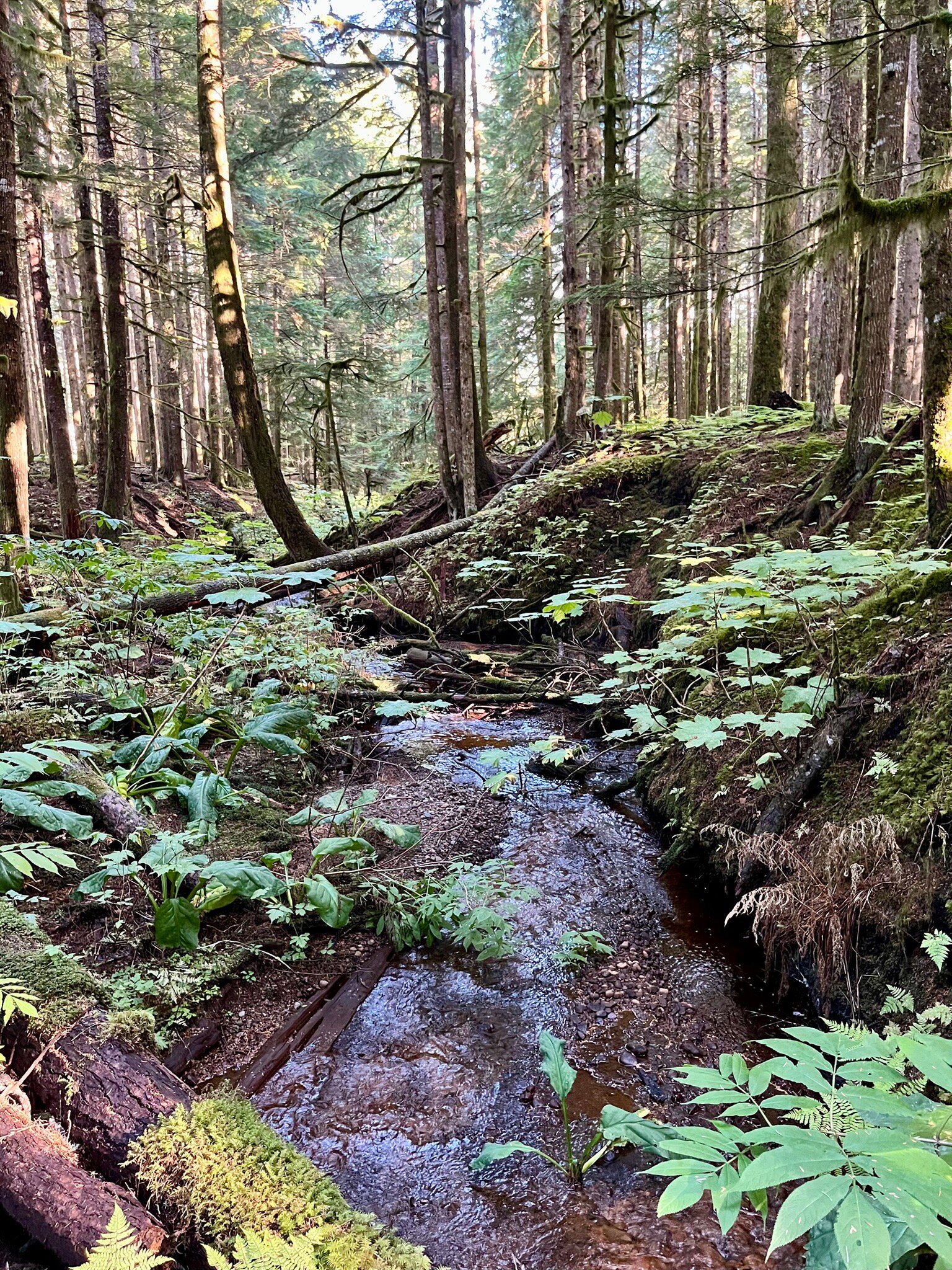 Minette Bay Lodge-官方