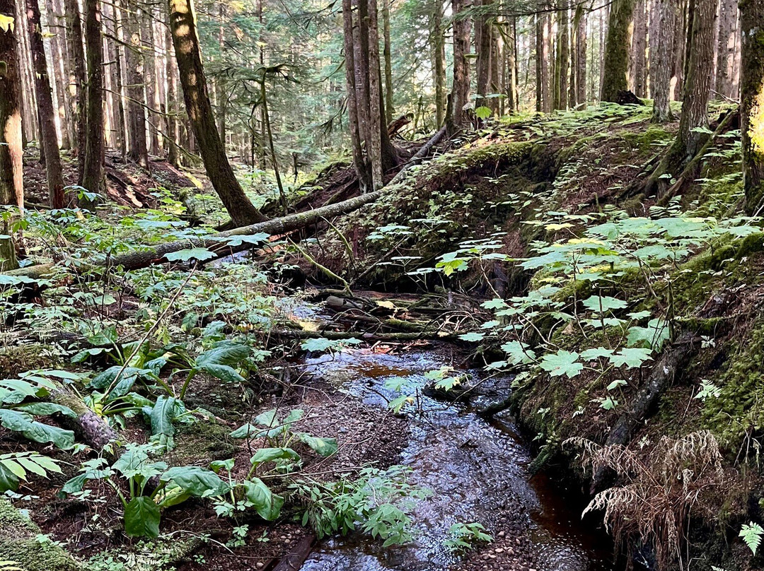 Minette Bay Lodge主图