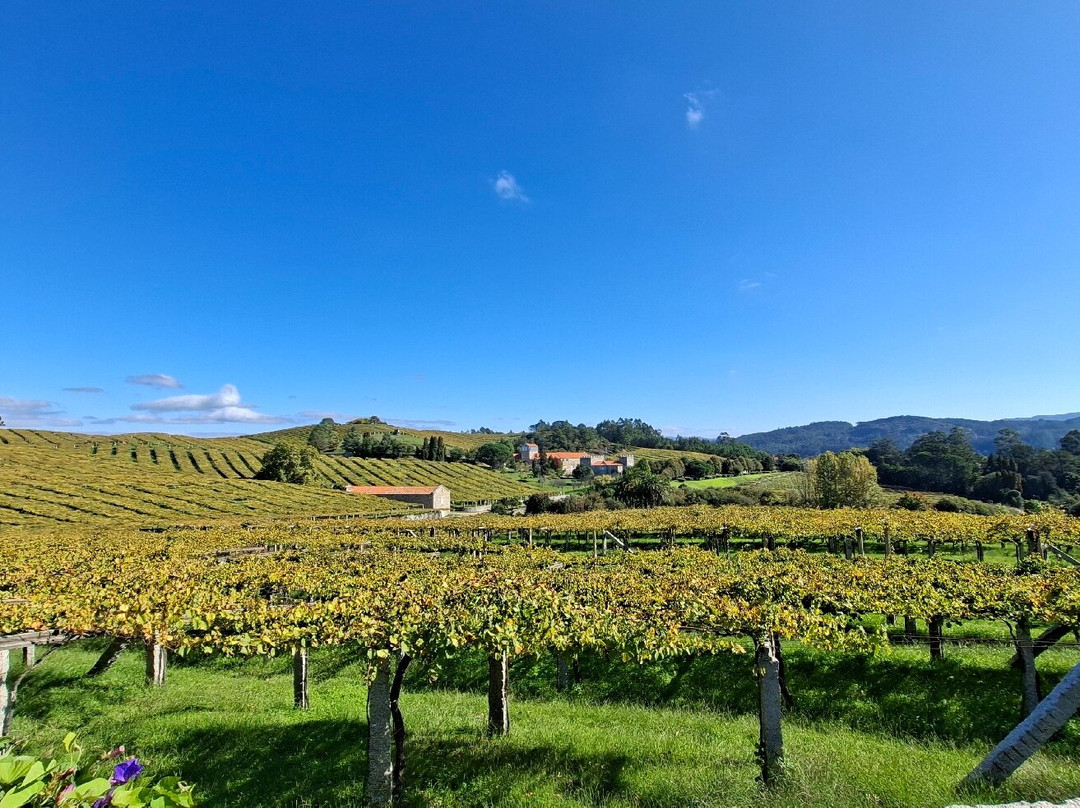 Bodega Pazo Baion-Vilanova de Arousa必去景点