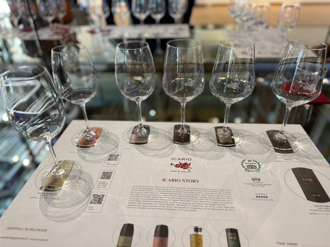 Icario Winery-蒙特普尔恰诺必去景点