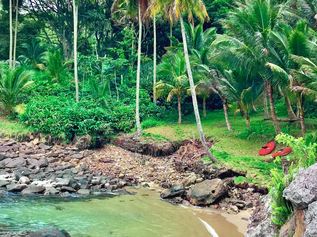 Ilha Do Gato Trips-圣塞巴斯蒂昂必去景点