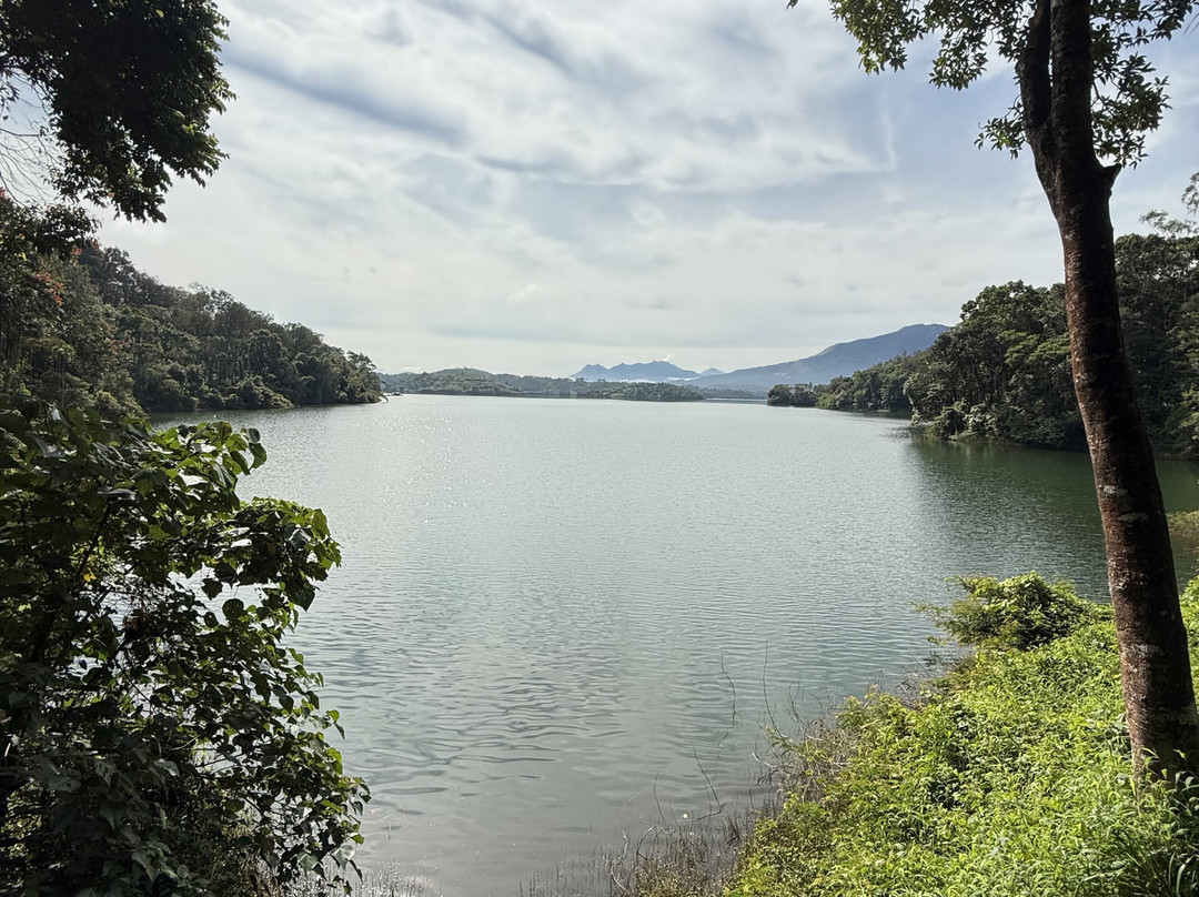 The Serenity Resort主图