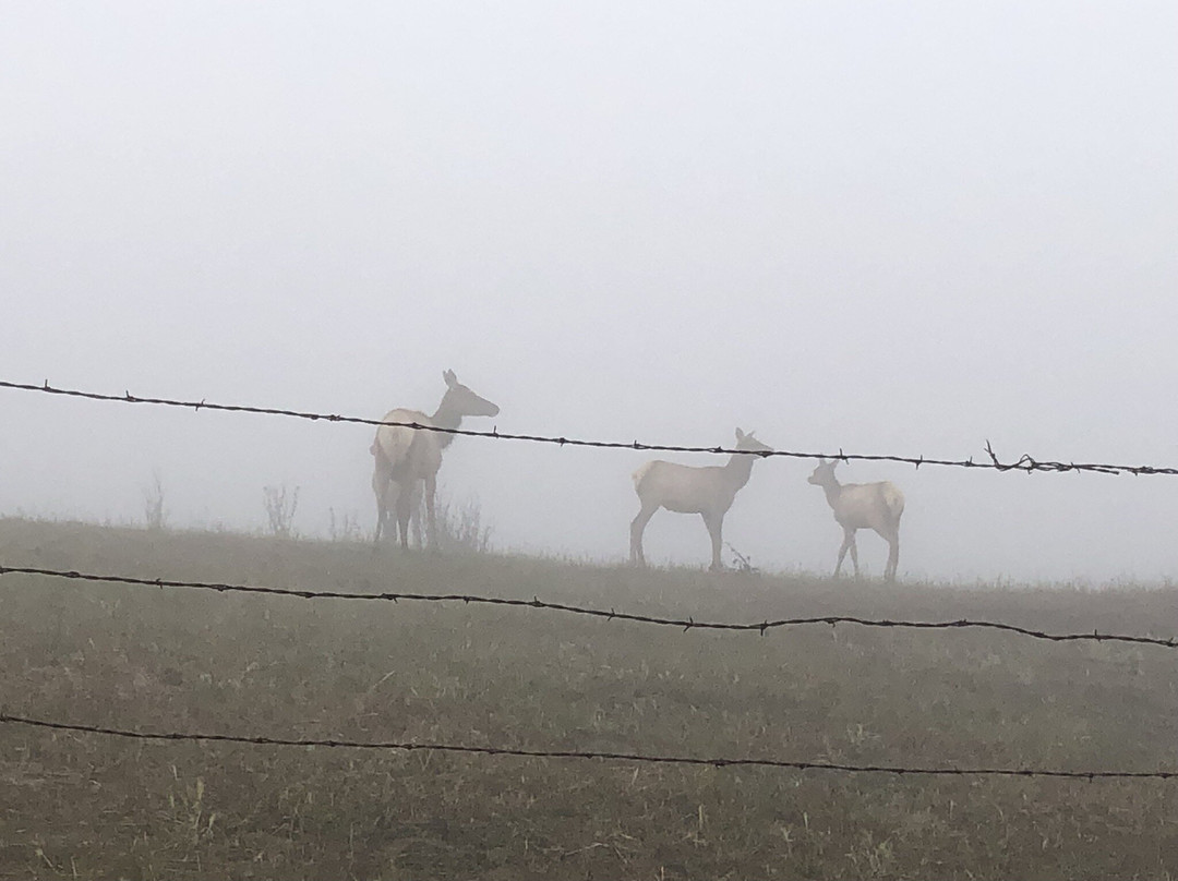 Point Reyes National Seashore
