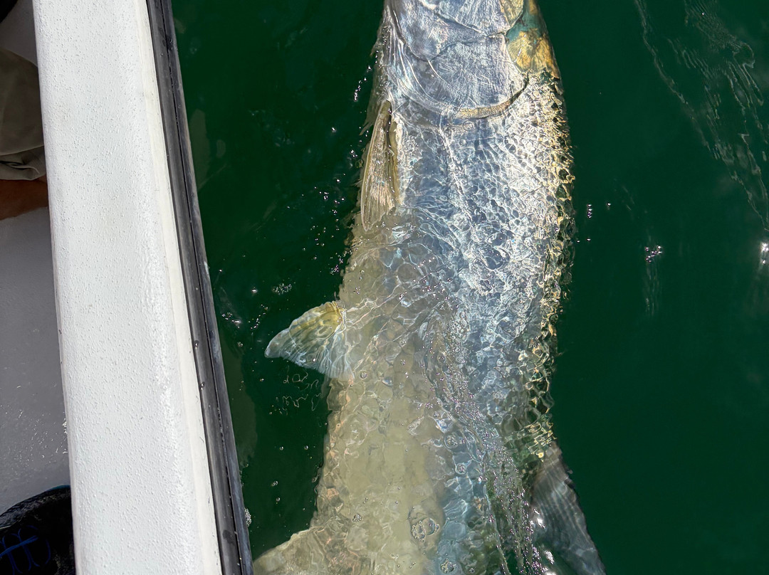 Green Water Charters-恩格尔伍德必去景点