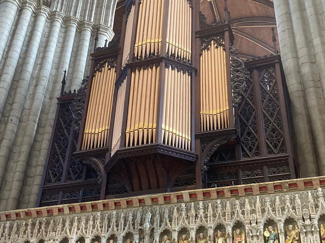 Ripon Cathedral-里彭必去景点