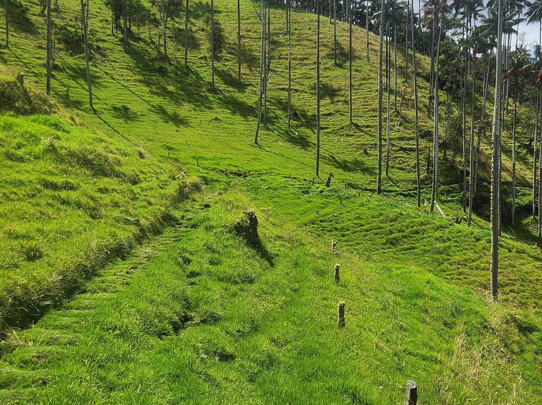 Andes Adventure-萨伦托必去景点