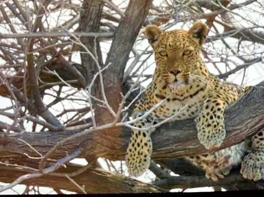 Gazechase Travels-温德和克必去景点