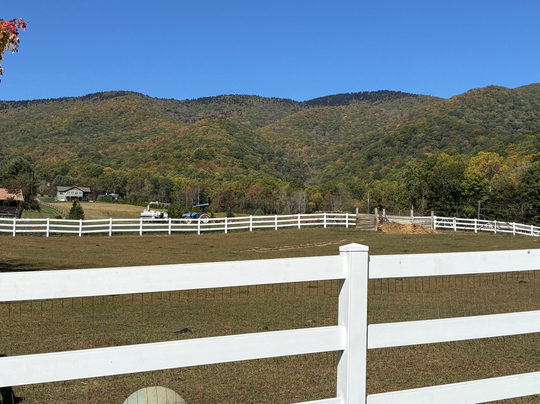 Winchester Creek Farm-韦恩斯维尔必去景点