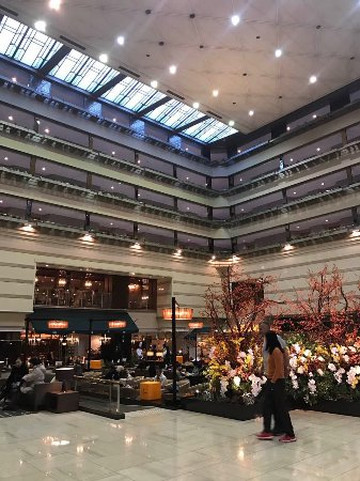 京都布赖顿酒店主图