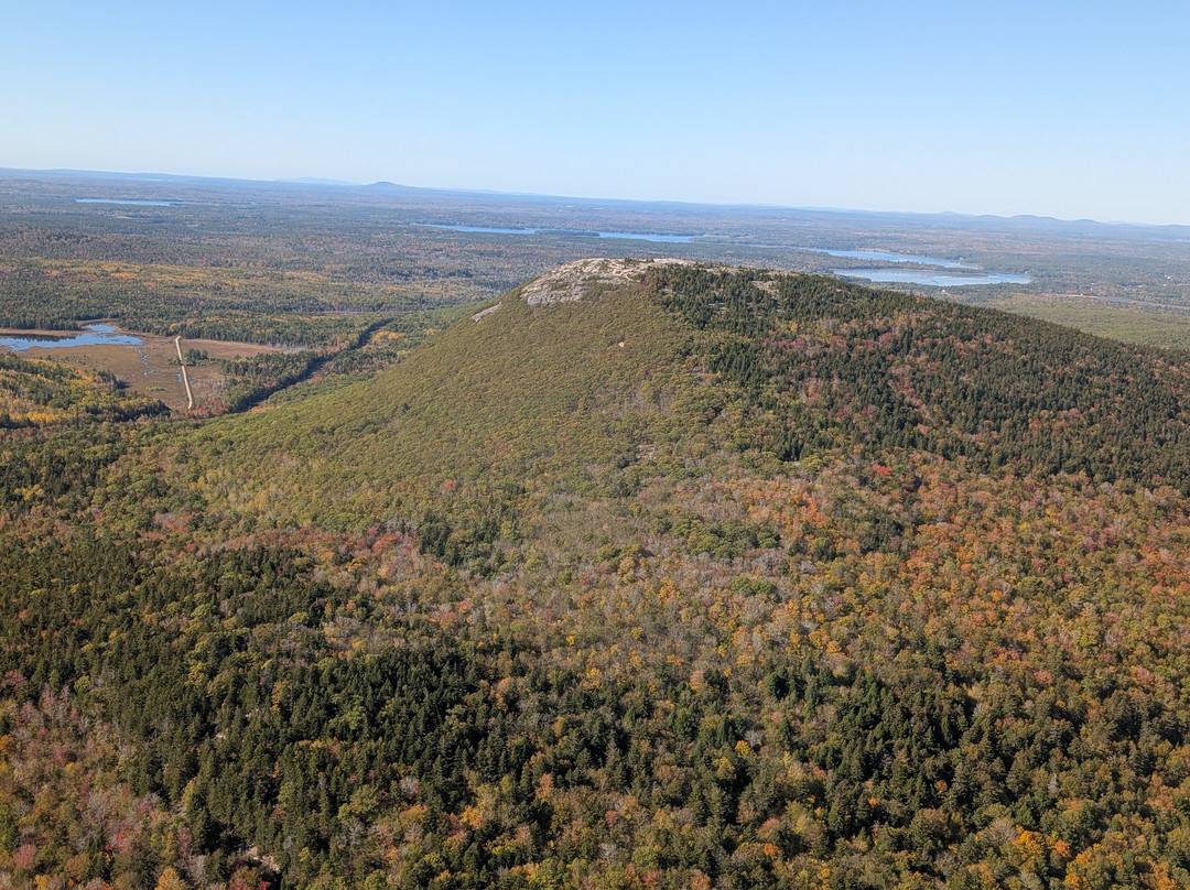 Scenic Flights of Acadia-Trenton必去景点