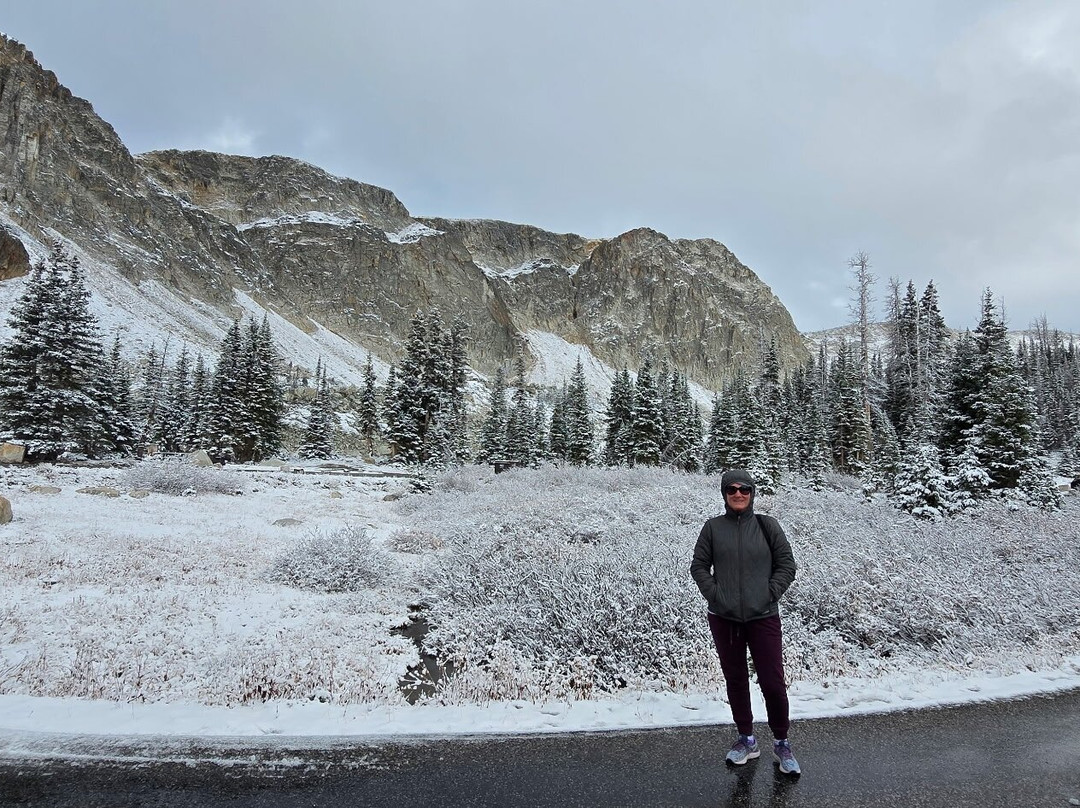 Medicine Bow National Forest-拉勒米必去景点