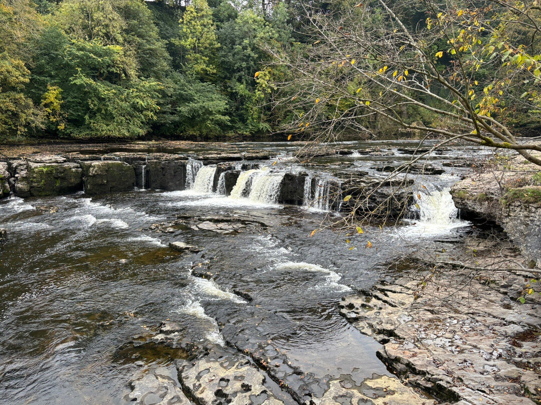 Aysgarth Falls-Aysgarth必去景点
