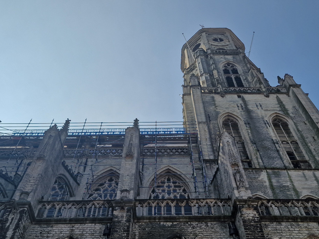 Saint Gummarus Church-Lier必去景点