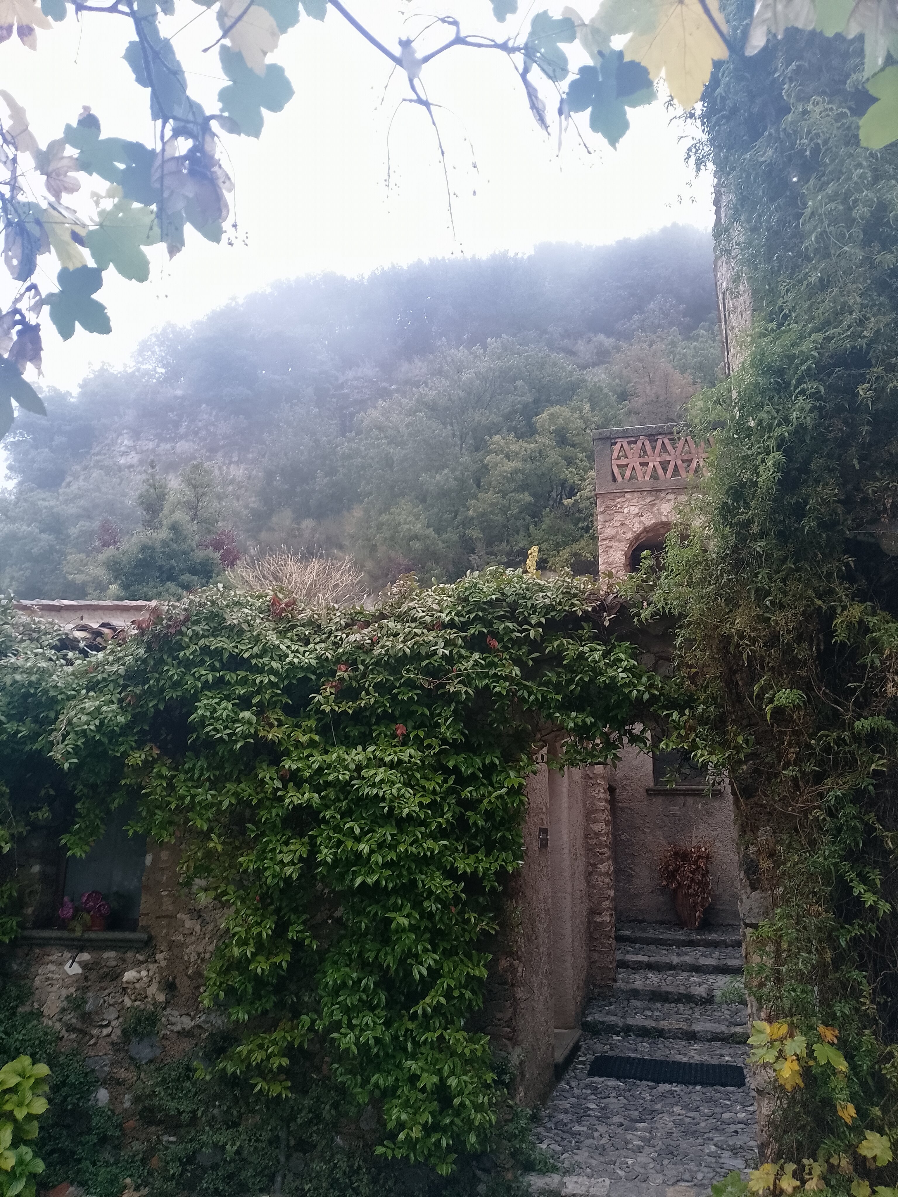 Agriturismo Colloreto-官方