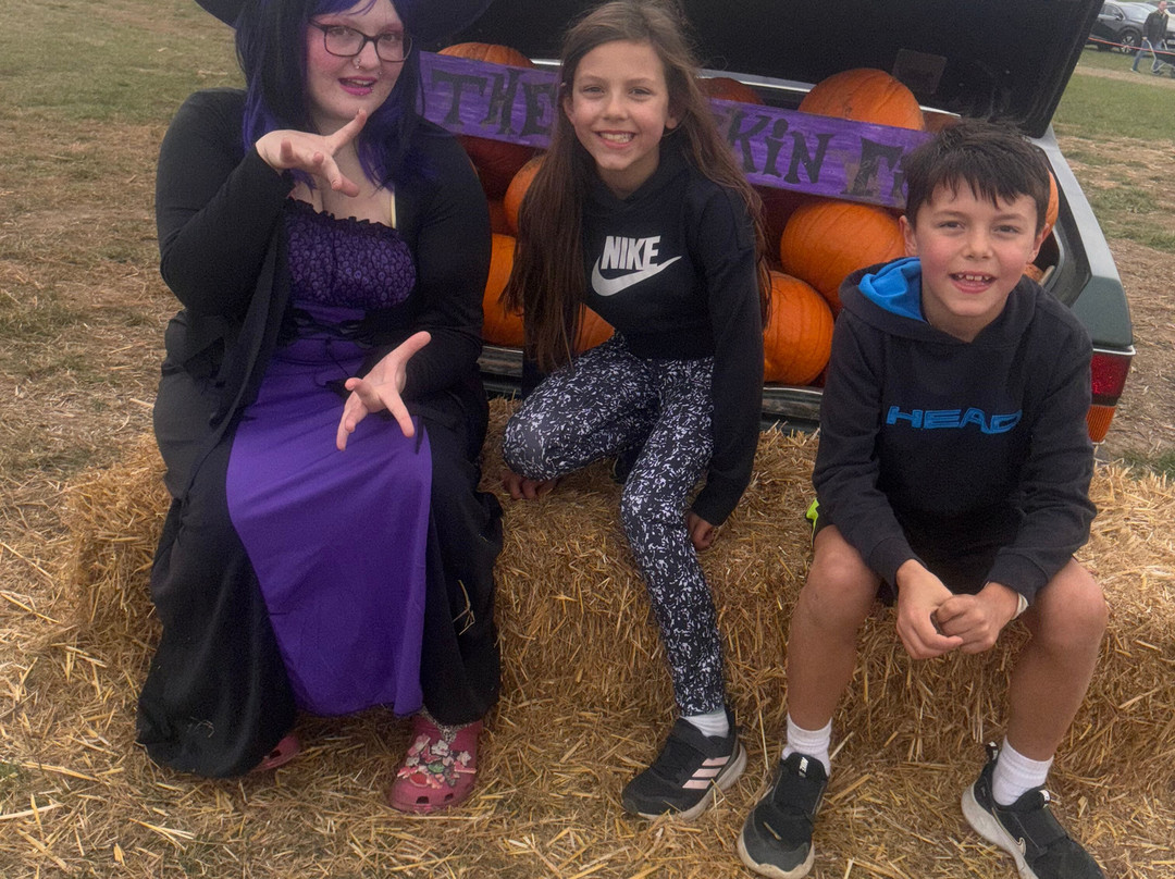 The Green Barn Farm Shop & Cafe-Benfleet必去景点