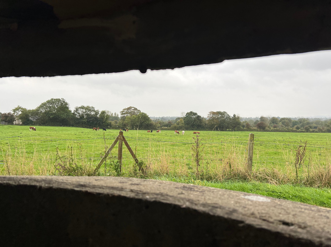 La Batterie d'Azeville (Azeville gun battery)-Azeville必去景点