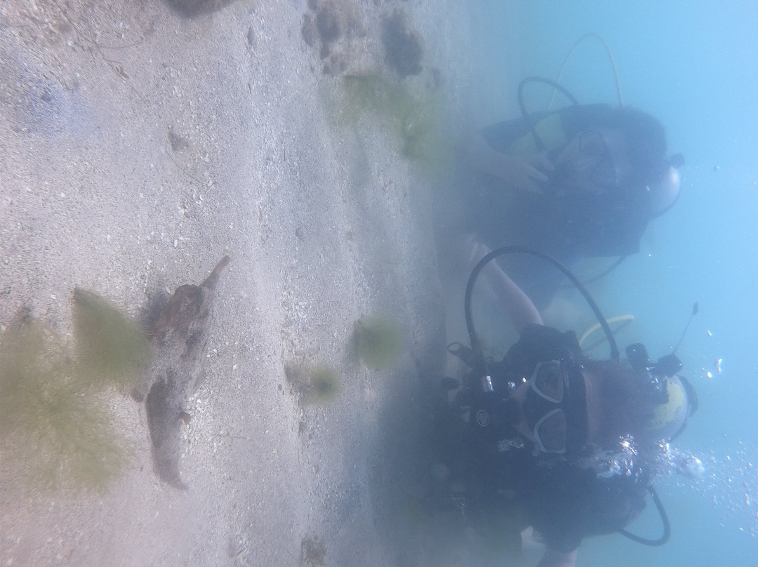Boipeba Mergulho - Scuba Diving Center-Morere必去景点